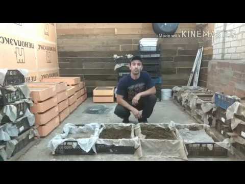 Видео: Разведение червей.Выборка малька от коконов и субстрата.