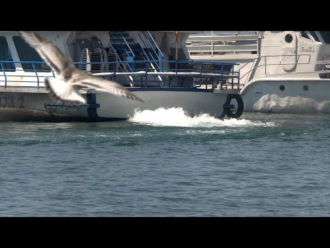 Видео: ТВМ Дневник 26.08.2025