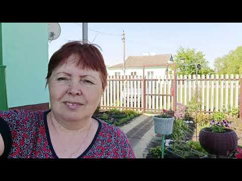 Видео: Жизнь в деревне 🏡. Хроника дня.