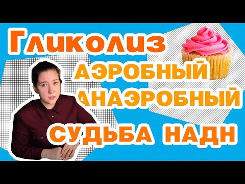 Видео: Гликолиз анаэробный/аэробный, челночные системы||медицинская биохимия