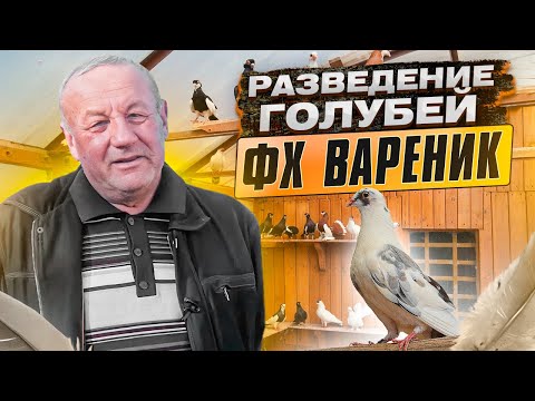 Видео: Опыт разведения голубей ФХ Вареник. Бизнес с душой.