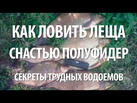 Видео: РЫБАЛКА на ПОЛУФИДЕР. ЛОВЛЯ РЫБЫ ЛЕЩ и ПОДЛЕЩИК ДЕЛИКАТНОЙ ФИДЕРНОЙ СНАСТЬЮ на КАНАЛЕ