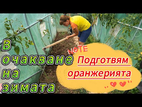 Видео: Есенно засаждане в оранжерията.