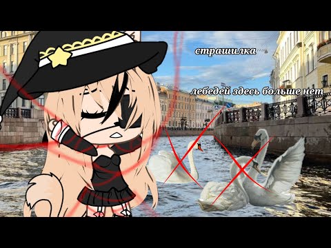 Видео: 🎃||страшилка|| лебедей здесь больше нет🎃/ Gacha Life🎃