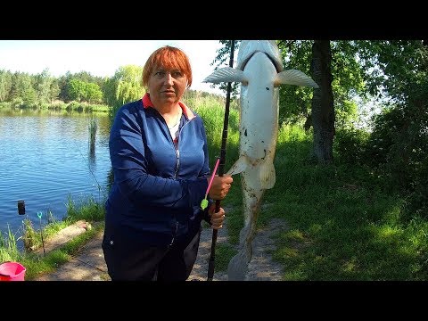 Видео: Веселая РЫБАЛКА С НОЧЕВКОЙ поймали ДИЧЬ на фидер ЕЖИКИ атакуют!