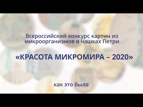 Видео: 5 лет конкурсу "Красота микромира"