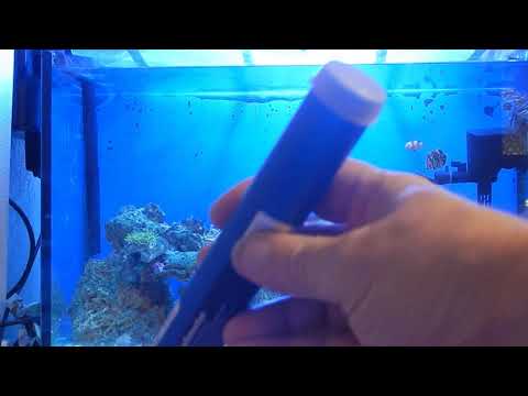 Видео: Важно! Соленость. Скимер.