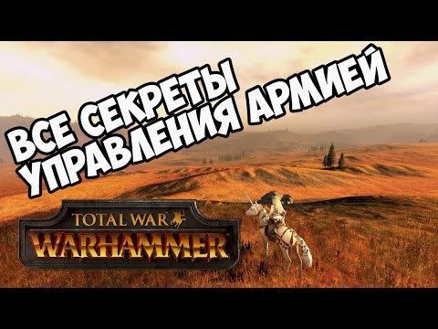 Видео: Управление армией 🏆 Total War Warhammer