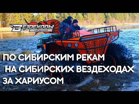 Видео: На Сибирских Вездеходах по Сибирским рекам за хариусом.