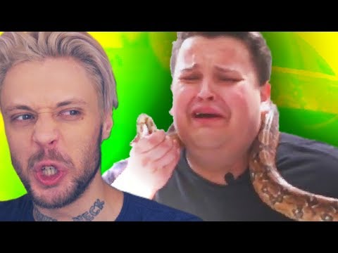 Видео: СИНЯК ЛАСКАЕТ "ПИТОНА" ( ͡° ͜ʖ ͡°)