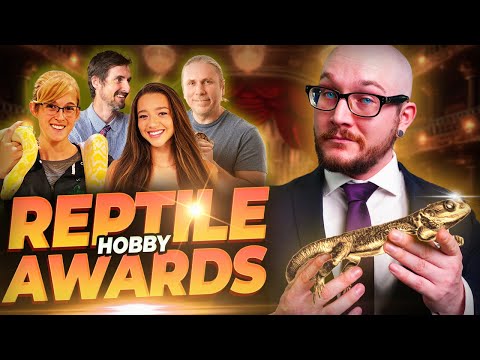 Видео: ЛУЧШИЕ и не очень лучшие YouTube-блогеры и создатели контента о рептилиях в 2024 году
