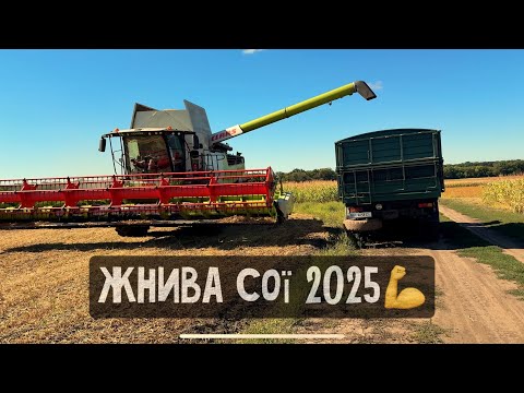 Видео: ВРОЖАЙ є👍Оце тепер і думай🤔соя АПОЛЛО 600тис,КУЧЕРЯВА соя Краун по 53 тис тона😱
