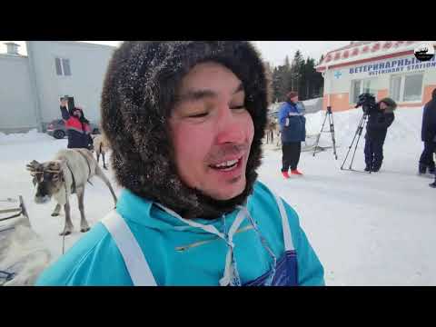 Видео: Ханты-Мансийск конгресс оленеводов 2022 г