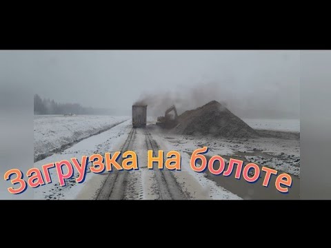 Видео: На болото за торфом.  #Большегруз22колеса#щеповоз#дальнобой