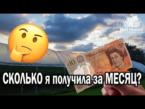 Видео: СКОЛЬКО Я ПОЛУЧИЛА ЗА МЕСЯЦ НА ФЕРМЕ В АНГЛИИ | Полная зарплата за месяц