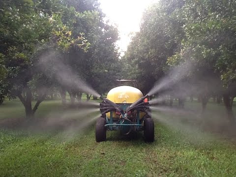 Видео: IMO №3 с Крисом Трампом. Натуральное земледелие на нашей ферме.