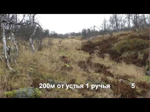 Видео: Перевал Дятлова, ч.4а/5. Овраг 4ПЛ