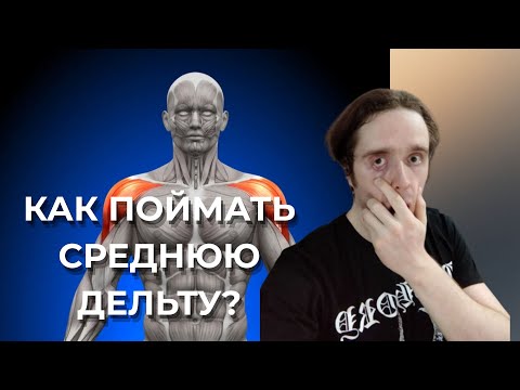 Видео: НЕ РАСТЕТ СРЕДНЯЯ ДЕЛЬТА?!?#фитнес #зож #похудение