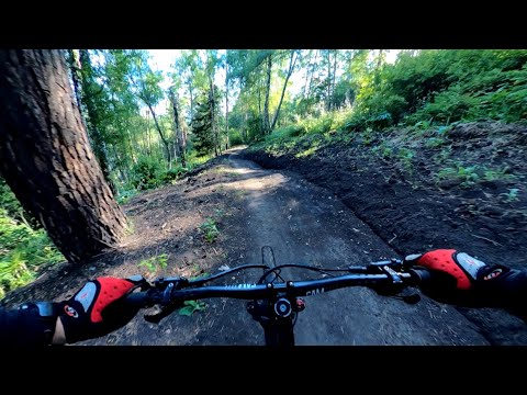 Видео: Белка в колесе: новая Зелёная (ФРаберже)