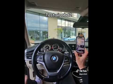 Видео: 23 мая 2025 г.