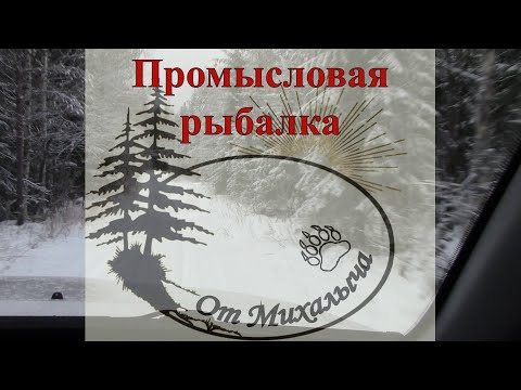 Видео: Промысловая рыбалка