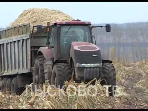 Видео: 2016 10 12 Уборка кукурузы в ООО Бармино