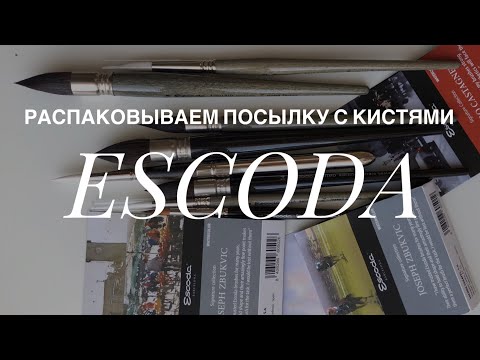Видео: РАСПАКОВКА ПОСЫЛКИ! КИСТИ ESCODA, СКИДКА НА JACKSONART