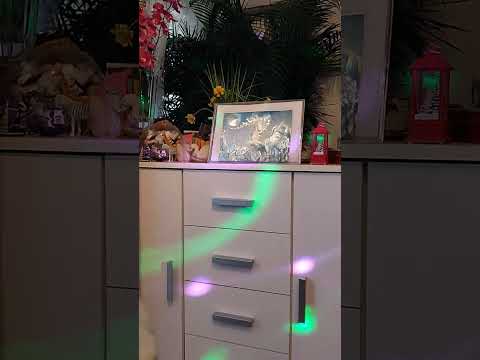 Видео: Лъв - ноември 2025 г.