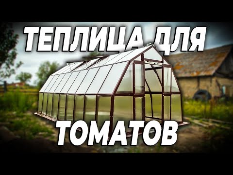 Видео: Вырастили 80 кустов томатов в одной теплице