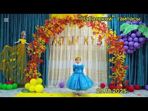 Видео: Чабалекей тайпасы 29- октябрь 2025 г.