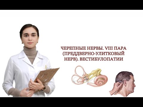 Видео: Черепные нервы. Преддверно-улитковый нерв. Диагностика вестибулопатий.