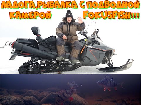 Видео: Ладога,рыбалка с подводной камерой FokusFish!!!