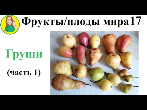 Видео: Фрукты   плоды мира 17 – Груши часть 1 Сыроедение Фрукторианство