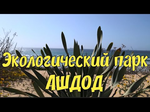 Видео: 🇮🇱 Экопарк Ашдод. Park Ecology Ashdod #израиль 