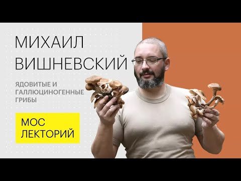 Видео: Ядовитые и галлюциногенные грибы // Михаил Вишневский Лекция 2018 | Мослекторий