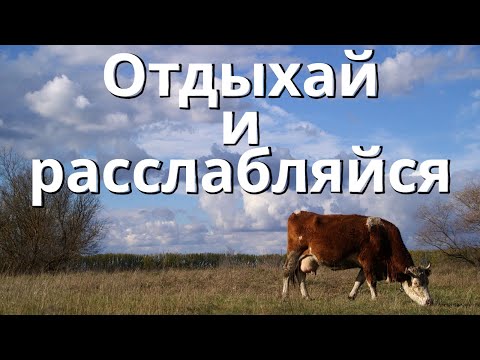Видео: Для тех кто устал в офисе. Смотри и отдыхай. Воронежская природа.  Октябрь 2025