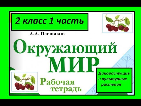 Видео: Окружающий мир 2 класс рабочая тетрадь. Дикорастущие и культурные растения