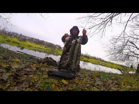 Видео: ЩУКИ РВУТ ЛЕСКУ! Ловля щуки на живца в ноябре!!!