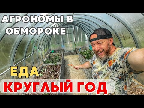 Видео: Настоящие ТЁПЛЫЕ грядки из ЭППС и ВСЕСЕЗОННАЯ теплица своими руками!