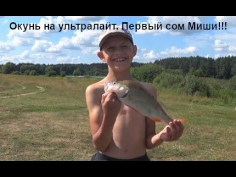 Видео: Окунь и СОМ на микроджиг !