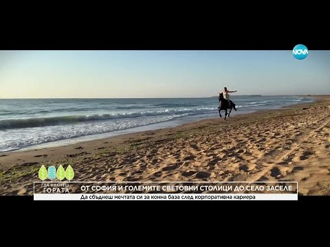 Видео: Да хванеш гората (20.04.2025)