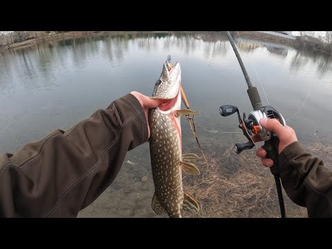 Видео: РЫБАЛКА НА СПИНИГ В ЧЕРТЕ ГОРОДА НА ВОБЛЕРА 🔥🔥🔥АБАКАН
