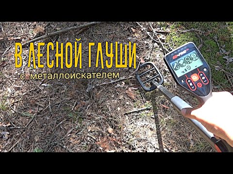 Видео: В лесной глуши с металлоискателем.