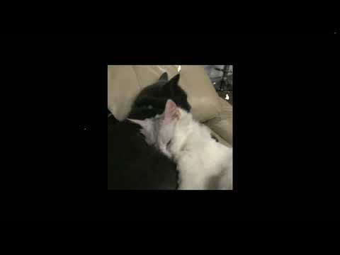 Видео: нервы - отрицательный герой(speed up)
