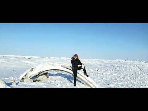 Видео: Alaska. г.Барроу. Самая северная точка США. Фильм первый.