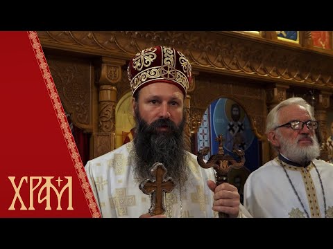 Видео: Епископ Иларион: Битна је духовна дисциплина