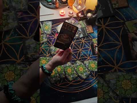 Видео: ✨Вести с полей октябрь 2025 ✨