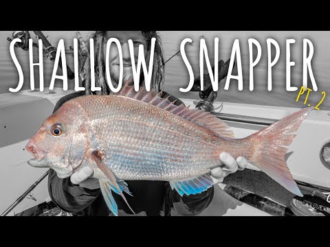 Видео: Мелководный люциан, часть 2