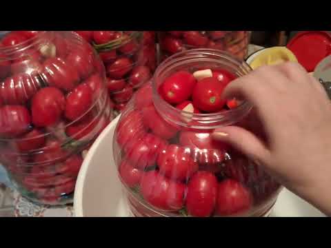 Видео: Газированные помидоры 🍅💥