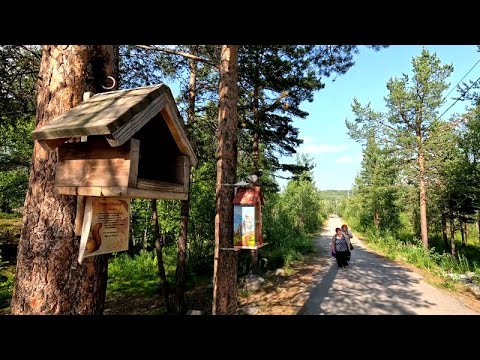 Видео: Мурманск. Экотропа у оз. Большое (в народе Беличья)